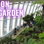 LONDON SKY GARDEN Free To Enter For Amazing Views